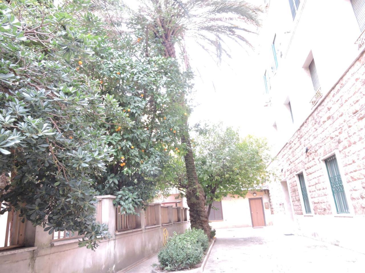 Domus Angelica Lejlighed